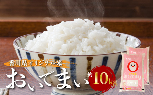香川県オリジナル米「おいでまい」　約10kg 864038 - 香川県高松市