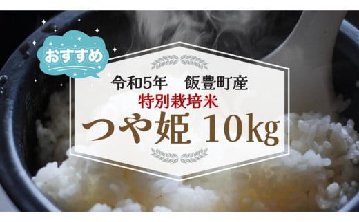 特別栽培米つや姫　白米　10kg（令和5年山形県飯豊町産）　 828117 - 山形県飯豊町