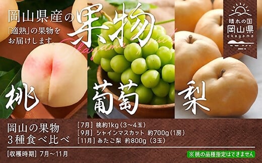 [定期便]岡山の果物3種食べ比べ(7月 桃、9月 ぶどう、11月 梨)[数量限定300セット]