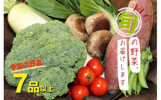 季節のお野菜セット 343490 - 鳥取県倉吉市