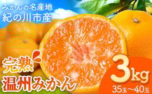 みかん【先行予約】完熟 温州みかん 約3kg (35~40玉) こだまファーム《10月中旬-2月中旬頃出荷》 和歌山県 紀の川市 みかん ミカン 果物 フルーツ