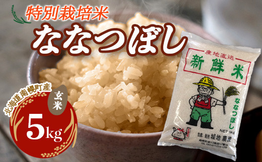 特別栽培米 ななつぼし（玄米）5kg 令和5年産 2023年10月発送 今摺り米