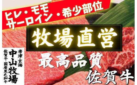[佐賀牛]食べ比べ 400g(ヒレ・サーロイン・モモ・希少部位/各100g)