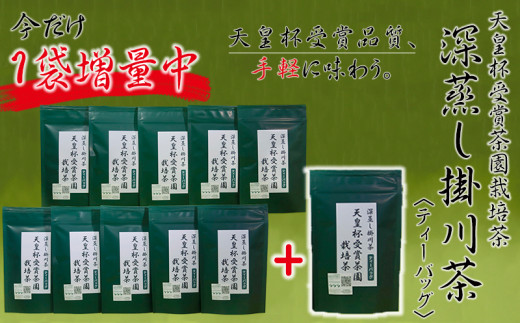 ５７３４　天皇杯受賞茶園栽培茶　深蒸し掛川茶ティーバッグ５ｇ×１０個×１０袋＋１袋　計１１０個　山英