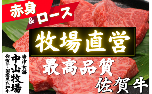 [佐賀牛]ステーキ食べ比べ [赤身&ロース] 各2枚入 400g (1枚/100g)