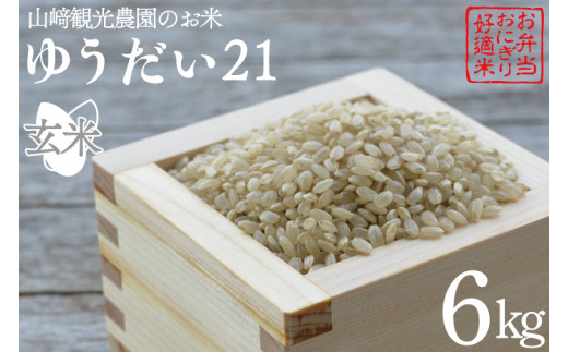 令和4年産栃木県ゆうだい21、10キロ無農薬にて作り上げた自慢のお米です！！食品/飲料/酒