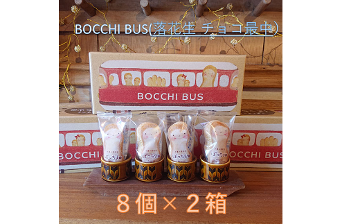 BOCCHI BUS 落花生 チョコ最中 2箱セット / 落花生 チョコ最中 千葉県 千葉半立種 和菓子 最中|（株）菓司庵　いずみ野