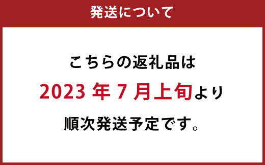 109-832 【2023年7月上旬より順次発送】 カボスラードラー 330ml×12本