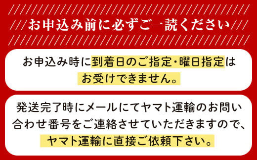 【訳あり】シャインマスカット晴王2房【2023年9月中旬～10月下旬発送予定】（いばら愛菜館）