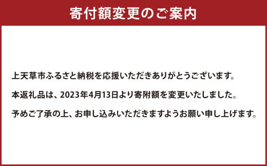 天草の塩バスチー（プレーン）2ホール セット