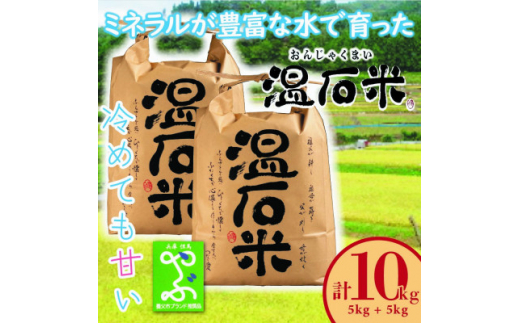 養父市の蛇紋岩地帯で穫れたコシヒカリ「温石米」10kg(2023年収穫米)【1363256】