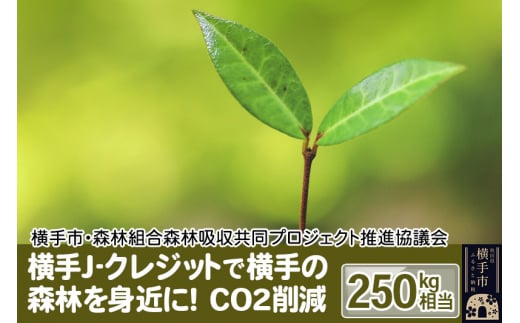横手J‐クレジットで横手の森林を身近に! CO2削減 250kg相当 1021416 - 秋田県横手市