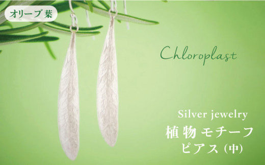 植物 モチーフ オリーブ 葉 ピアス ( 中 )《糸島》【Chloroplast / クロロプラスト】 [ALF004]