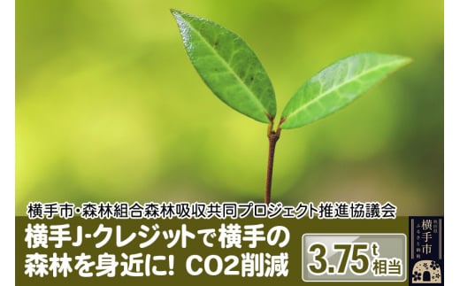 横手J‐クレジットで横手の森林を身近に! CO2削減 3.75t相当 1021425 - 秋田県横手市