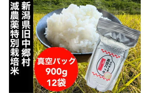 【令和6年度産新米】新潟県減農薬特別栽培米 そのまんま真空パック  900ｇ×12袋セット 831651 - 新潟県新潟県庁