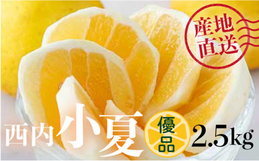 純国産 土佐のみかん山のはちみつ＜600g＞ TA21 - 高知県東洋町