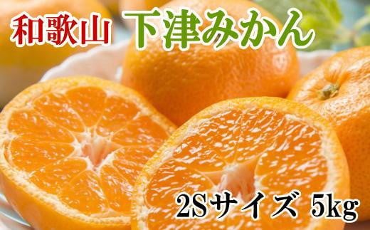 【産直・秀品】和歌山下津みかん約5kg（2Sサイズ）★2024年11月中旬頃より順次発送【TM72】 762518 - 和歌山県和歌山市