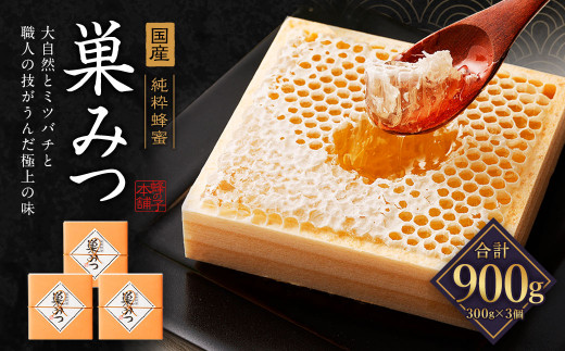 国産 巣みつ 600g(300g×2個) 蜂蜜 はちみつ - 福岡県広川町 