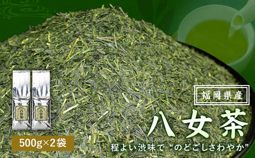 福岡県産 八女茶100％（ 500g 袋詰 × 2袋 ）計1kg お茶 煎茶