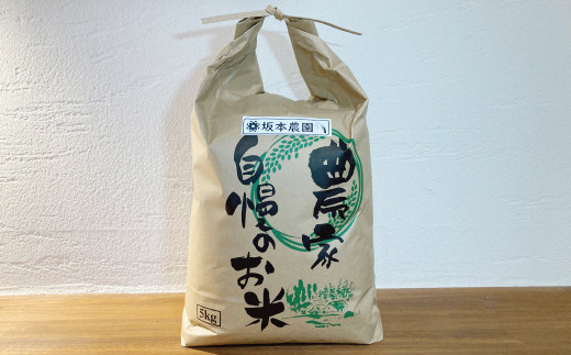 熊本県産 くまさんの輝き 7分つき 5kg 食物繊維 ビタミン ミネラル 胚芽米 単一原料米