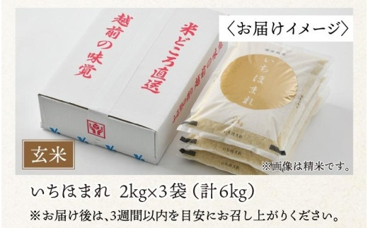 【令和5年産】いちほまれ 玄米 2kg×3袋（計6kg）《新鮮な高品質米をお届け！》／ 福井県産 ブランド米 ご飯