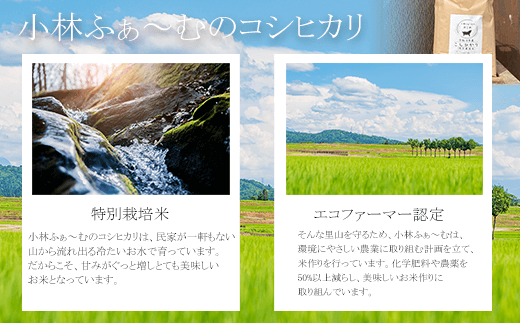 令和5年新米【京都丹波】小林ふぁ～むのコシヒカリ(令和5年産・精米