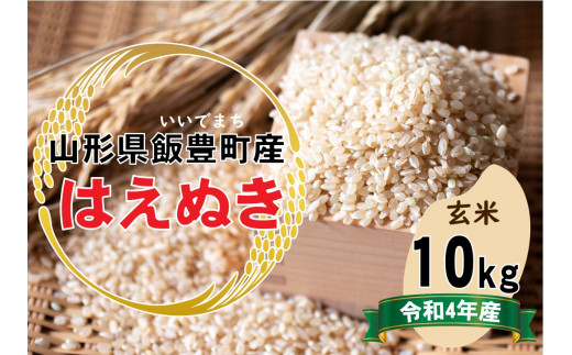 お米 山形県天童産 お米 はえぬき「玄米10kg」