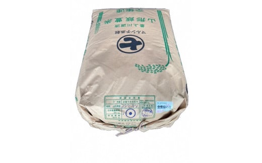 コシヒカリ玄米30kg(農協出荷は一等米)山形県産 令和４年産食品 - 米/穀物