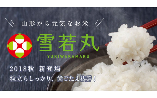 令和４年産！ 山形県産【はえぬき】白米３０ｋｇ 中粒米