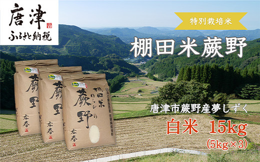 令和5年産新米】特別栽培棚田米「蕨野」5kg×3袋(合計15kg) 家庭排水が