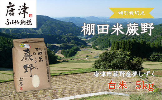 令和5年産新米】特別栽培棚田米「蕨野」5kg×1袋(合計5kg) 家庭排水が