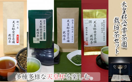 ５７３５　天皇杯受賞茶園栽培茶　４種９袋セット（ 深蒸し掛川茶 ）山英　
