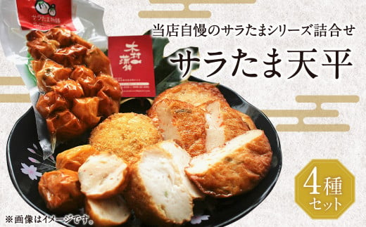 サラたま天平（ 天ぷら ）セット 練り物 かまぼこ おやつ 250631 - 熊本県水俣市