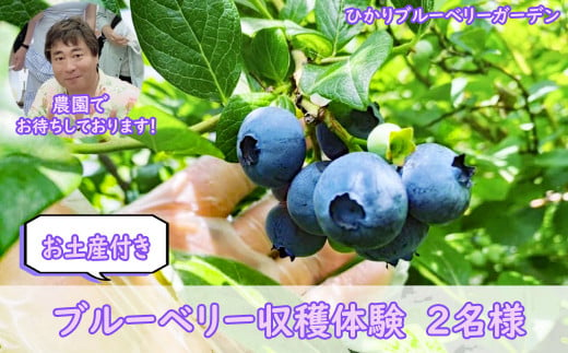 M-AF28.【お土産付き】ブルーベリー収穫体験　2名様 873794 - 奈良県桜井市