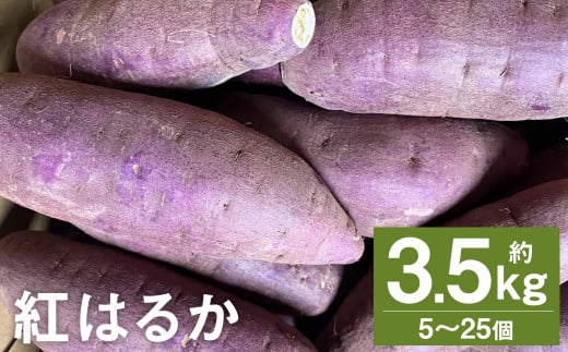 紅はるか 約3.5kg (5〜25個) さつまいも サツマイモ 芋 いも 野菜 やさい 国産 [2024年11月下旬〜2025年4月上旬発送予定]