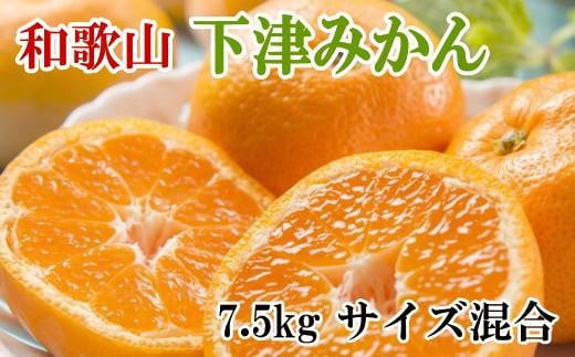 【産直】和歌山下津みかん約7.5kg(サイズ混合) ★2023年11月中旬頃より順次発送 833752 - 和歌山県由良町