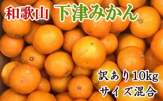 【訳あり】和歌山下津みかん約10kgご家庭用向け(サイズ混合)【2025年11月中旬～2026年1月中旬頃より発送】/ みかん ミカン 果物 フルーツ くだもの 柑橘 オレンジ 和歌山【tec885A】