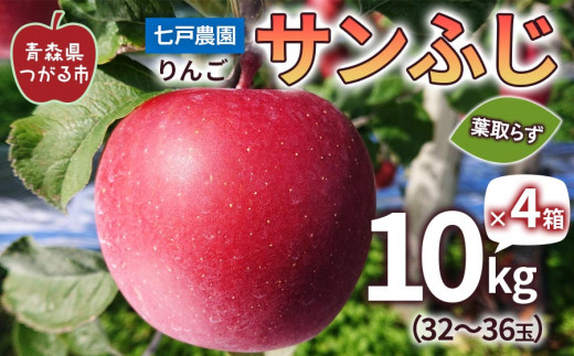 りんご サンふじ 葉取らず 10kg (32～36玉)×4箱 【2023年11月下旬より順次発送】｜青森県産 津軽 つがる リンゴ 果物 令和5年産 [0334] 329785 - 青森県つがる市