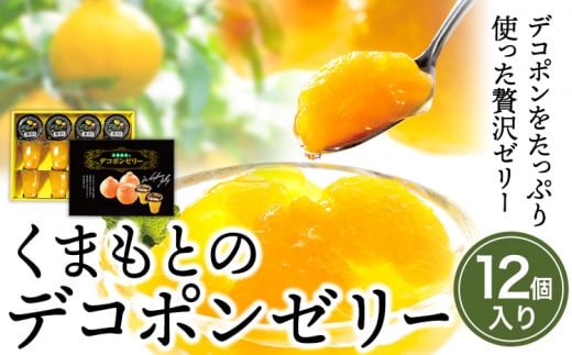 くまもとのデコポンゼリー（12個入）《60日以内に順次出荷(土日祝除く)》熊本県 葦北郡 津奈木町 あしきた農業協同組合 JAあしきた 柑橘 デコポン  フルーツ 果物 ゼリー ギフト 包装 送料無料|株式会社ローカル