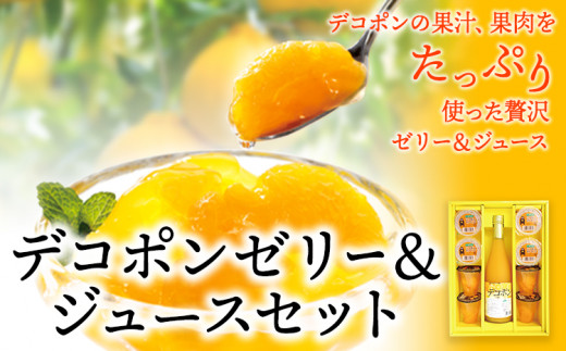 デコポンゼリー＆ジュースセット《60日以内に順次出荷(土日祝除く)》熊本県 葦北郡 津奈木町 あしきた農業協同組合 JAあしきた 柑橘 デコポン  ジュース ゼリー セット ギフト 包装 送料無料|株式会社ローカル