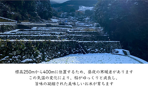 「日本の棚田百選」「重要文化景観」などに認定されている蕨野の棚田。