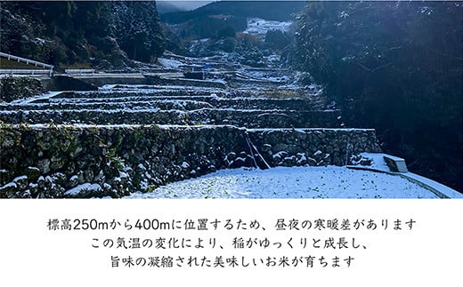 令和5年産新米】特別栽培棚田米「蕨野」5kg×４袋(合計20kg) 家庭排水が