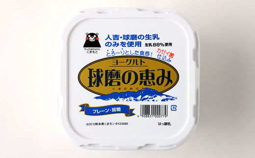 「球磨の恵みヨーグルト」 加糖・砂糖不使用 1000g×各2個 合計4個セット 冷蔵 相良村