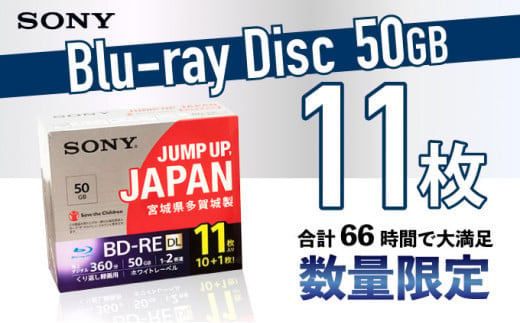 SONY ブルーレイディスク　100GB   計6枚