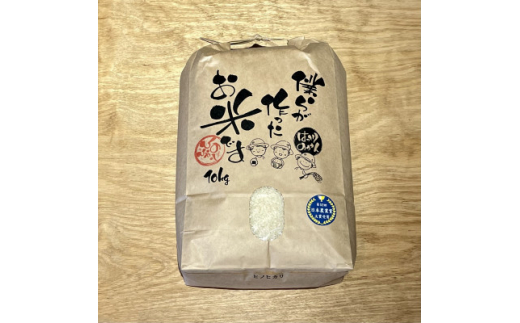 愛知県産ひのひかり 精米10kg【1394557】 835707 - 愛知県大口町