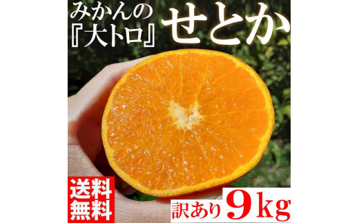 せとか [別名-みかんの大トロ] 和歌山県有田川町産 オレンジ 家庭用 8kg