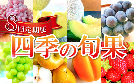 益田市四季の旬果定期便 8種【フルーツ 定期便 果物 くだもの 先行予約 期間限定 数量限定 季節限定 早期予約 デラウェア 葡萄 ぶどう ブドウ アムスメロン アールスメロン 巨峰 シャインマスカット 梨 なし 西条柿 いちご 苺 イチゴ】