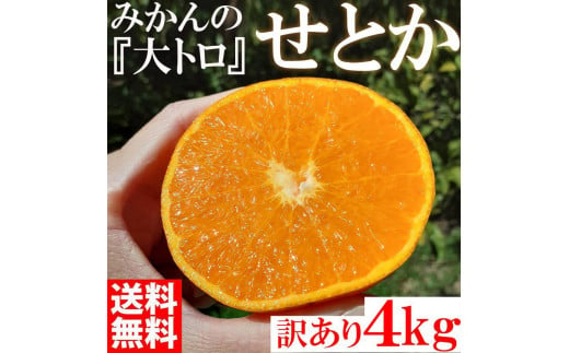 せとか みかんの大トロ 4kg 訳あり ブランド 和歌山 有田みかん 農家直送 オレンジ フルーツ 果物