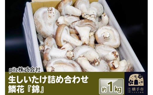 鱗花 -錦-（生椎茸） 約1kg 1022661 - 秋田県横手市