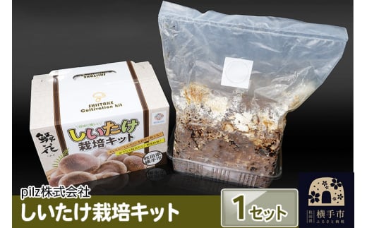 ご自宅でブランド椎茸を栽培！しいたけ栽培キット 1022659 - 秋田県横手市